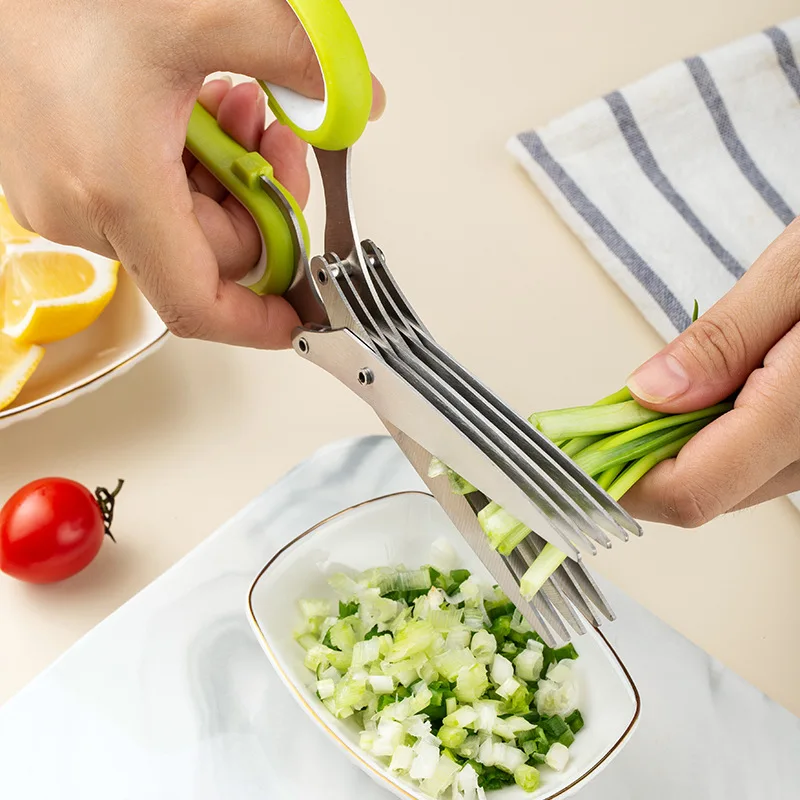 キッチン多機能ステンレス三層/五層ネギはさみと海苔切りはさみ - Kitchen Appliances Green のレビューと価格