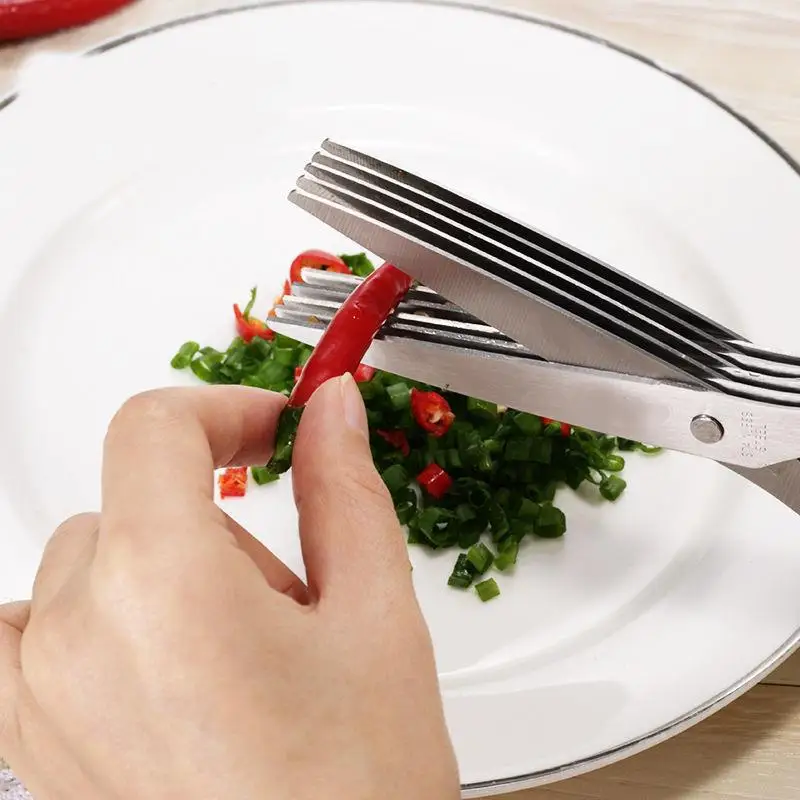 キッチン多機能ステンレス三層/五層ネギはさみと海苔切りはさみ - Kitchen Appliances Green のレビューと価格